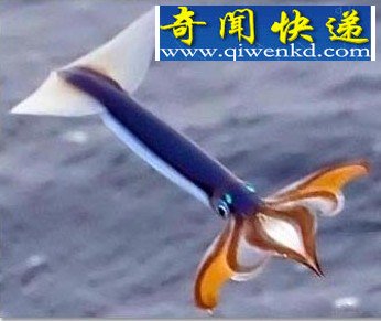 Ȼ뺷Կ(ͼ) 