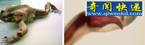УұըУͼ