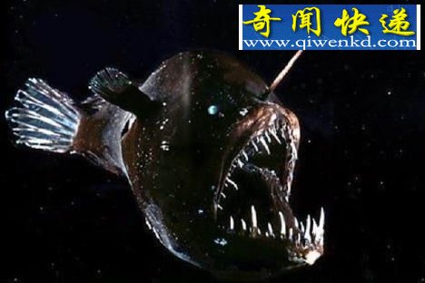 ʮ캣αװʯͷ(ͼ) 
