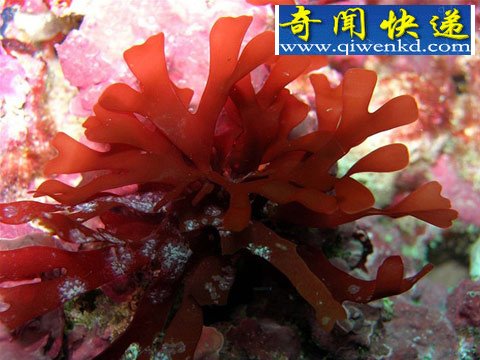 (ͼ)ˮ°޺Ǩ 