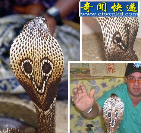 Ȼ硰󡱶