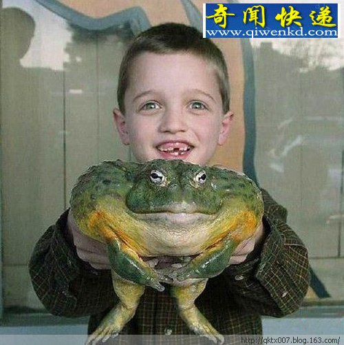 Щﶼǧɾ