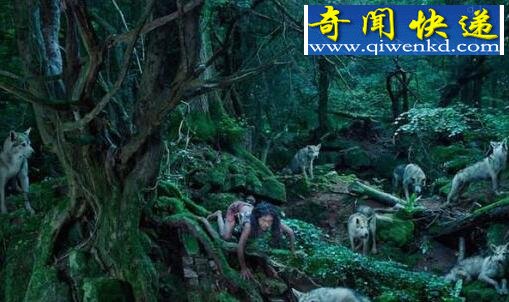 全球被动物养大的悲惨人类,现实版人猿泰山!