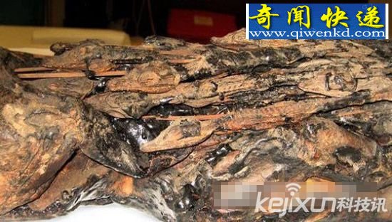 现代科技 探索两千年前埃及鳄鱼木乃伊
