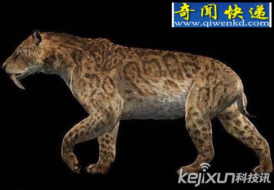 远古时期灭绝生物将“复活”?学者称有剑齿虎猛犸象