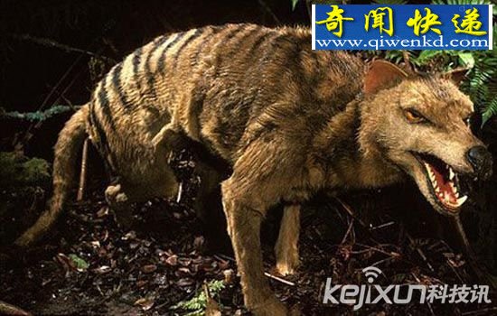 远古时期灭绝生物将“复活”?学者称有剑齿虎猛犸象