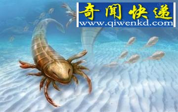美国新发现4.5亿年前巨型海蝎化石 可长至1.7公尺长 如人大小的史前巨蝎 揭示史前谜题