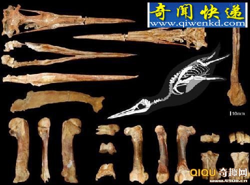 ϼھ컯ʯʽŹ