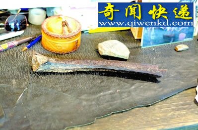 DNA中破译祖先迁徙路径 走出非洲非只沿一条路