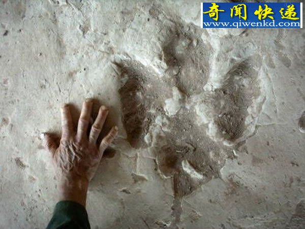 뽭ϵĴӡ㼣