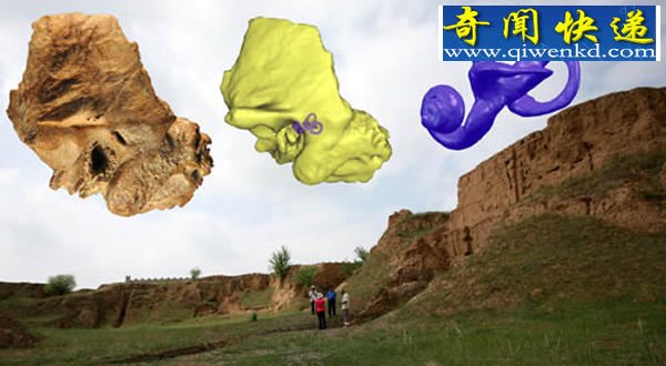ǹз ڶ·ģʽʯ֤
