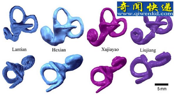 ǹз ڶ·ģʽʯ֤