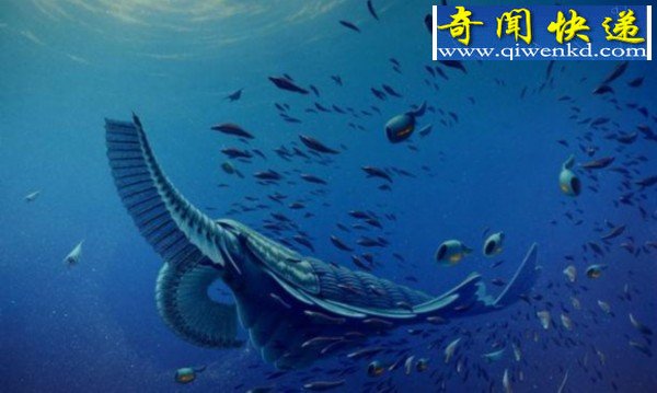科学家发现寒武纪虾形海洋怪兽化石