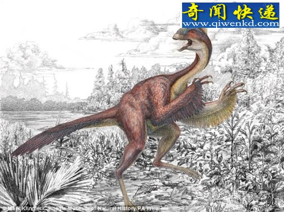 6600ǰݸ3ױΪ
