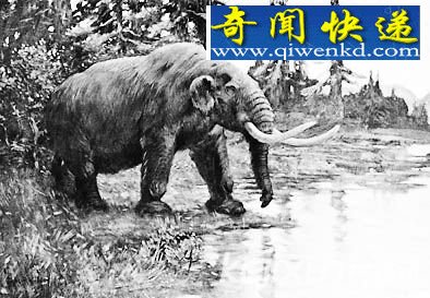 万年前北美史前巨兽灭绝并非因为印第安人捕杀