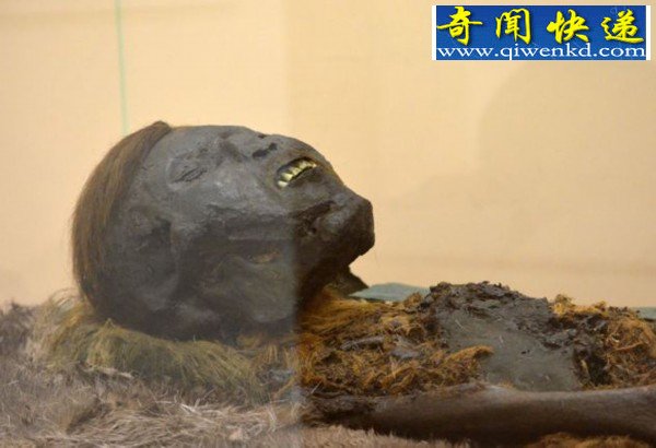 尸体距今800年保存完