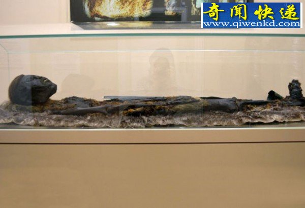 尸体距今800年保存完