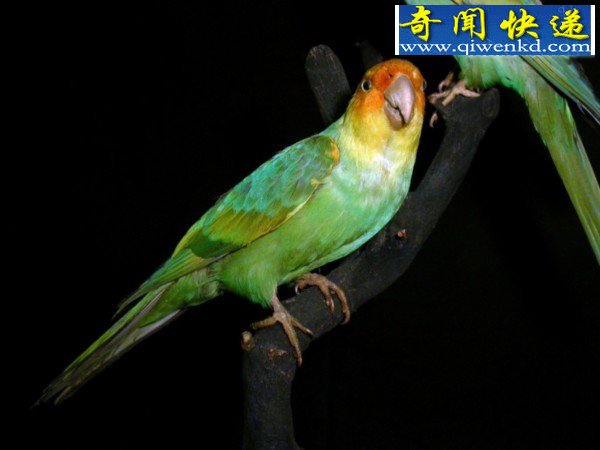 ϣѧҸ24