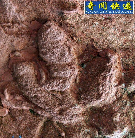 安徽发现重要恐龙足迹-曾被传作张三丰手印