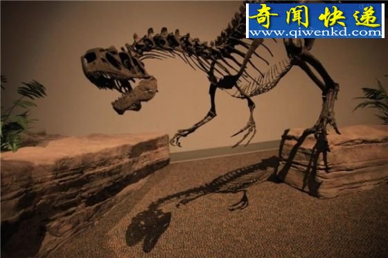 科学家检测亿年前恐龙骨骼-探秘伤口自愈机制