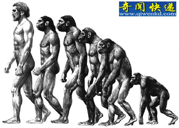 ִ߳/ͼ