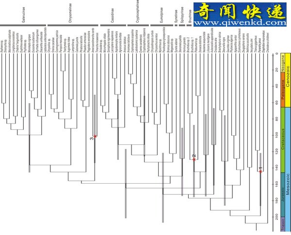 化石和分子证据演示天牛的进化史