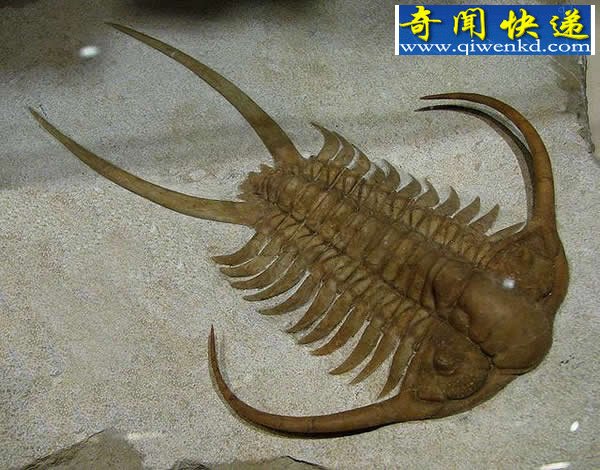 ¼ⶨʹľȷʱ