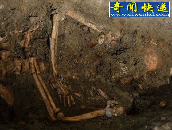 疑似蒙娜丽莎原型遗骸将进行面部复原