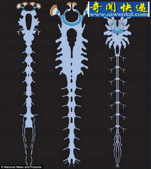 ھԶﻯʯӵϵͳ