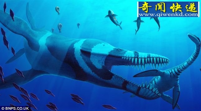 1.5亿年前重达12吨海洋怪物被发现 /组图