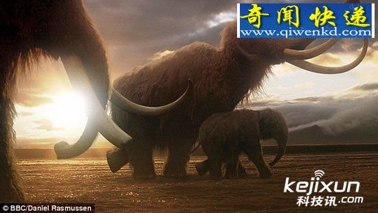 猛犸活细胞首次被发现 科学家复活计划将实现/图
