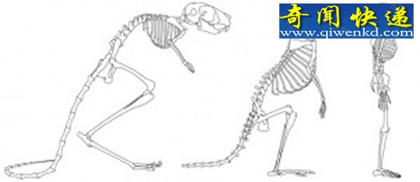 Ǵֱʲôϵ