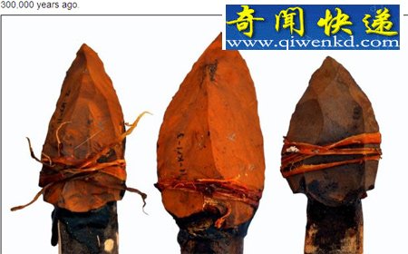 50万年前人类就会制造石质长矛