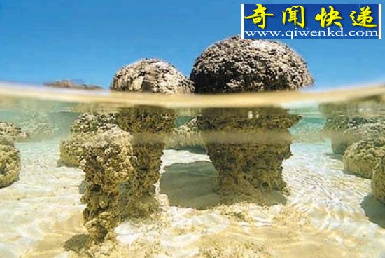 34.5亿年岩层发现地球神秘古老微生物痕迹