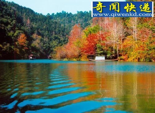 神秘湖泊水怪常出没 频频被目击