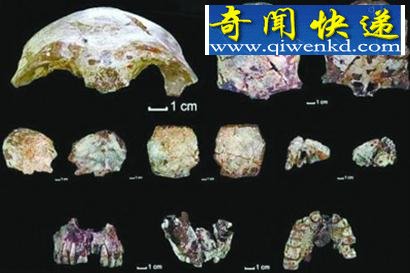 老挝一个山洞里发现最古老的现代人化石(组图)