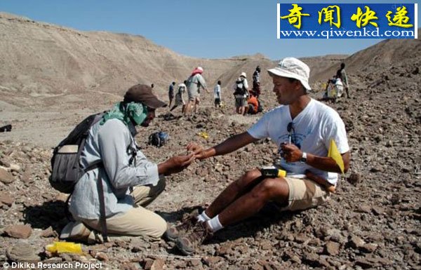 人类从树上走下地面时间比预计要晚