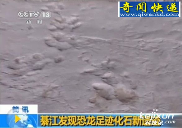 뽭ֿ㼣ʯż