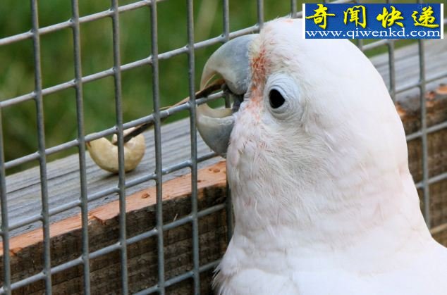 Ļ 