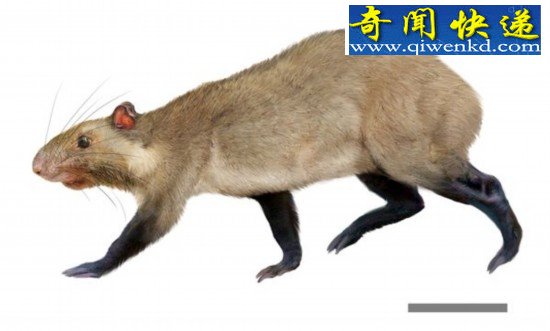 3200ǰʯоֽ