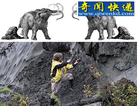 㻯ʯ Ʊ