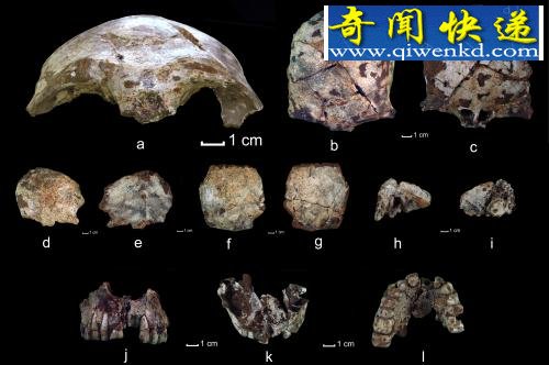 老挝发现至少有四五万年历史人类头骨化石