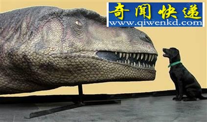   ʬ