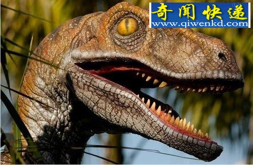 令人着迷的恐龙:霸王龙是顶级捕食者