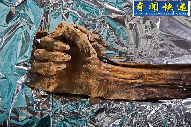 5300ı˰´ĳʲô