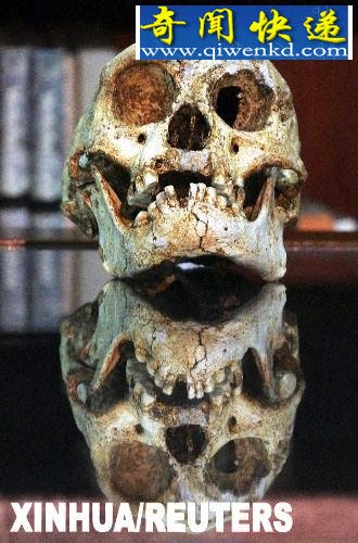 全球8大化石遗迹:世界最大似鸟恐龙化石上榜 全球8大化石遗迹:世界最大似鸟恐龙化石上榜