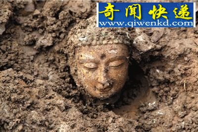 佛头出土。本版供图邺城考古队 曹操发迹地邺城发现巨大佛像坑 佛像级别史无前例