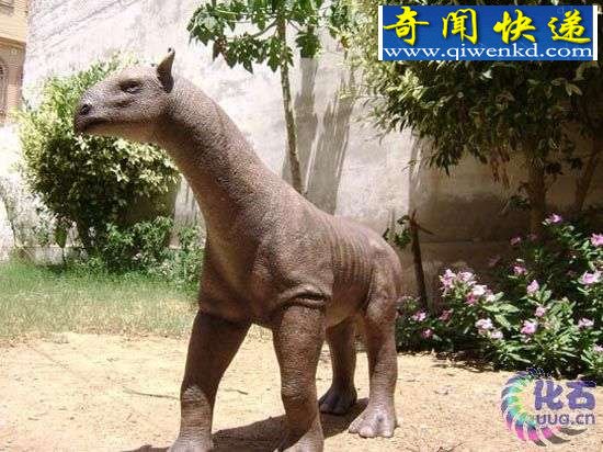 ʷǰ½鶯·֧(ͼ)