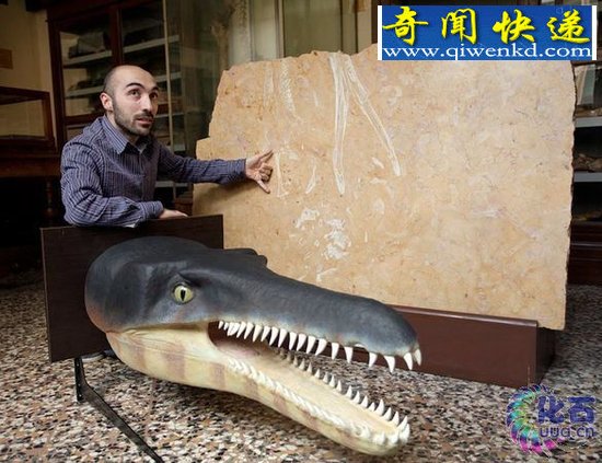̨ͨʯо淢 㻯ʯ