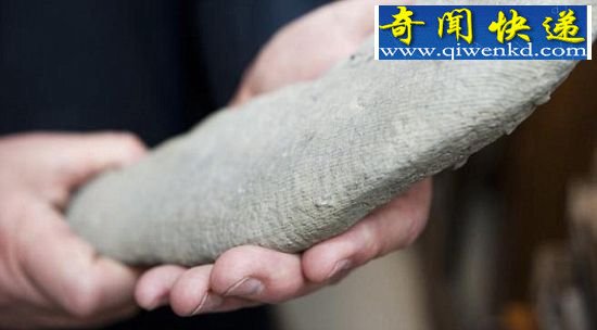 化石的发现地在4.5亿年前曾被海洋覆盖,促使费纳认为化石的主人可能是一只海葵 美古生物学家发现4.5亿年前未知物种奇特化石